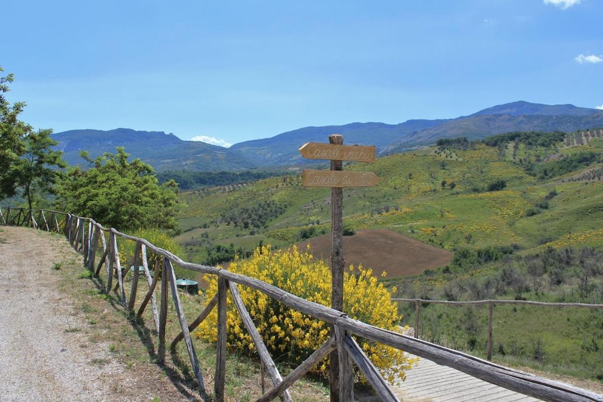 Pietra Pizzuta Country House Torre de' Passeri Esterno foto